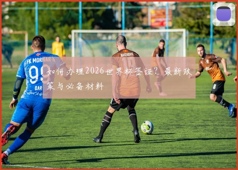 如何办理2026世界杯签证？最新政策与必备材料